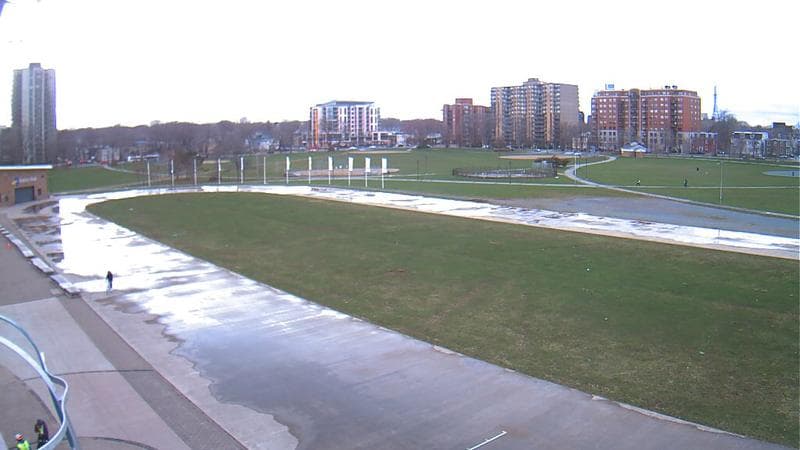 Emera Oval