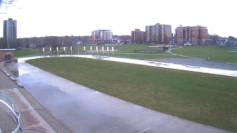 Emera Oval