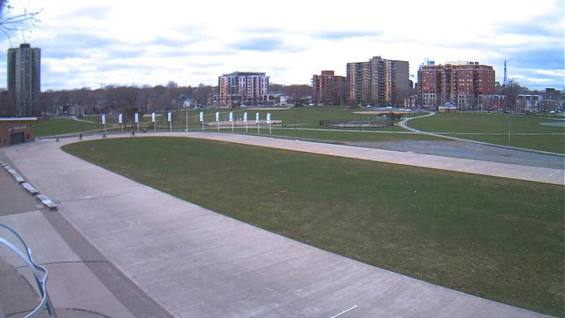 Emera Oval