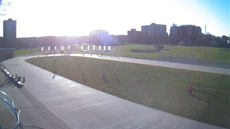 Emera Oval