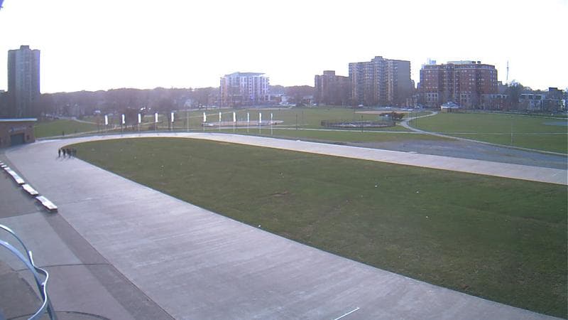 Emera Oval