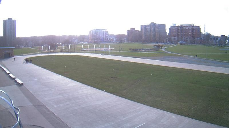 Emera Oval