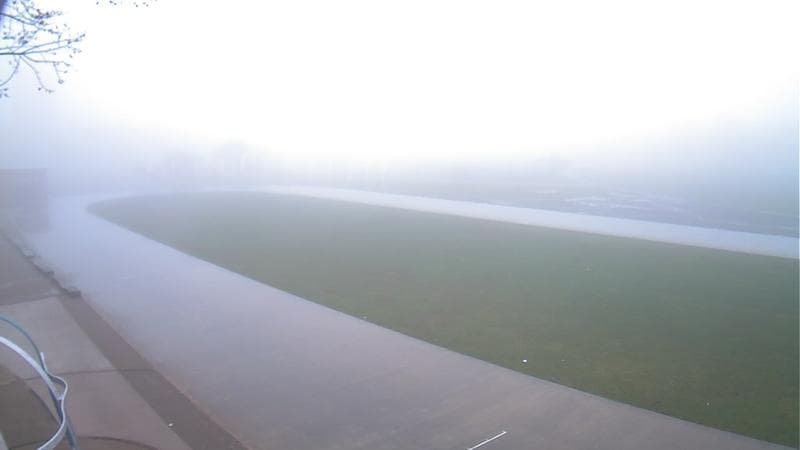 Emera Oval