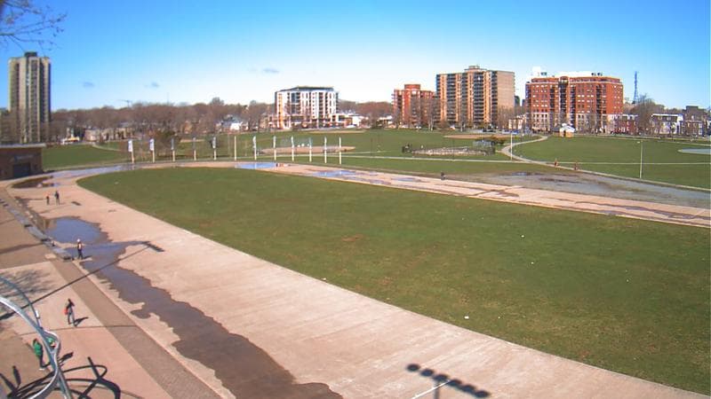 Emera Oval