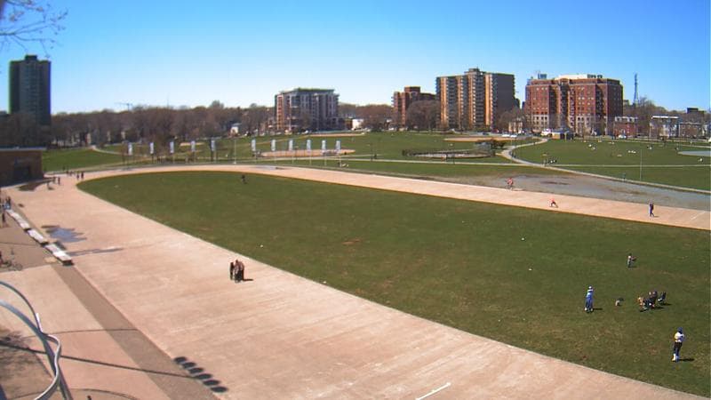 Emera Oval