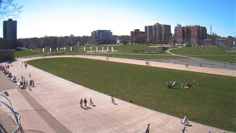Emera Oval