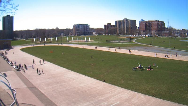 Emera Oval