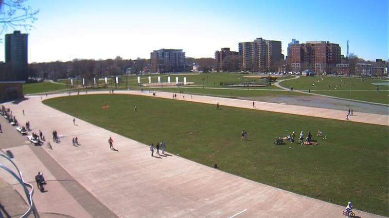 Emera Oval