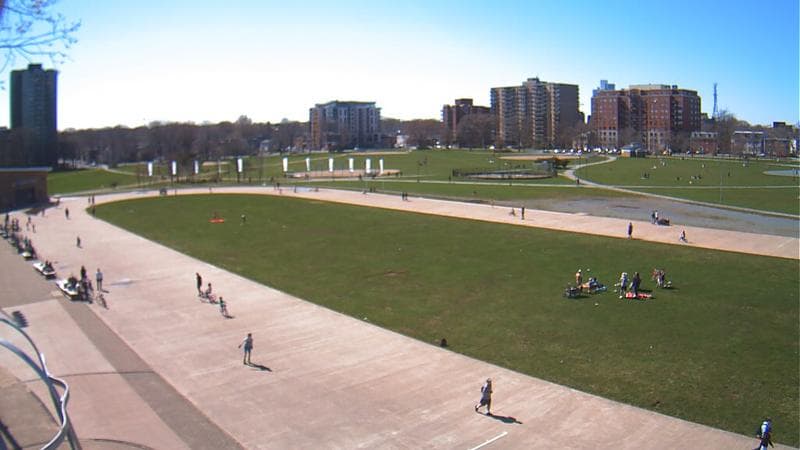 Emera Oval