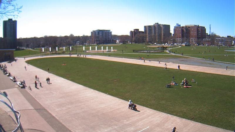 Emera Oval