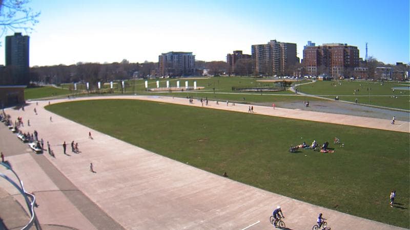 Emera Oval