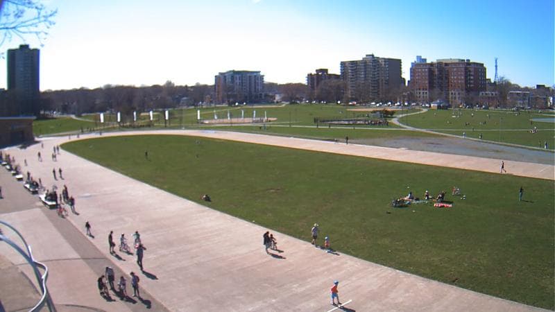 Emera Oval