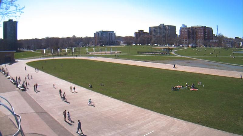 Emera Oval