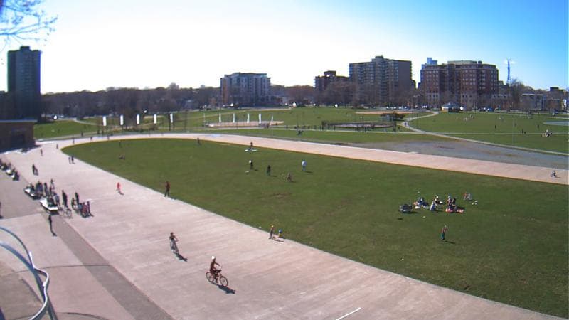 Emera Oval