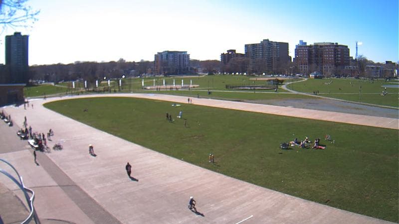 Emera Oval