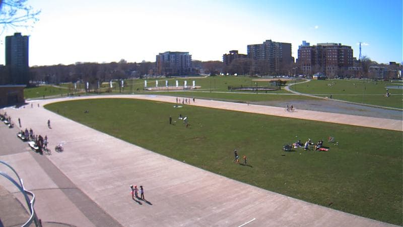 Emera Oval