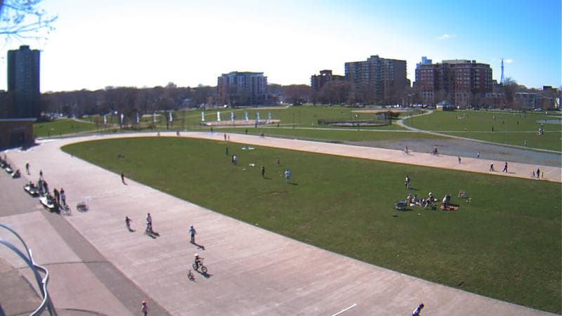 Emera Oval