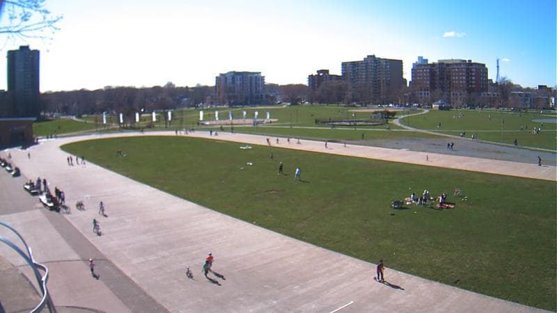 Emera Oval