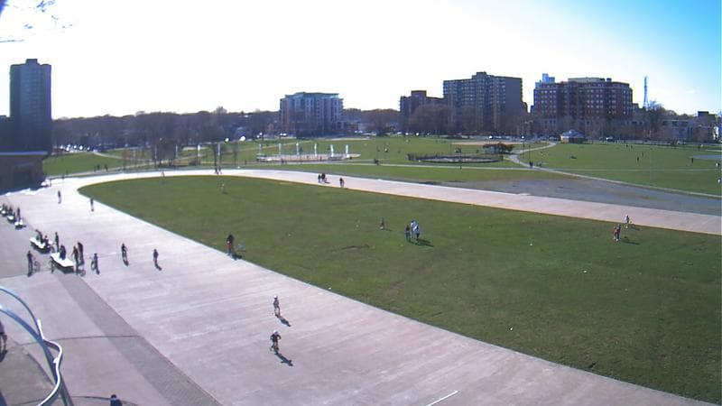 Emera Oval