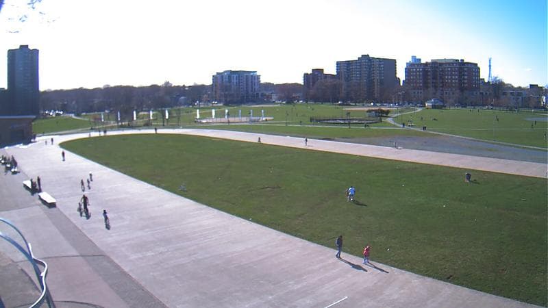 Emera Oval