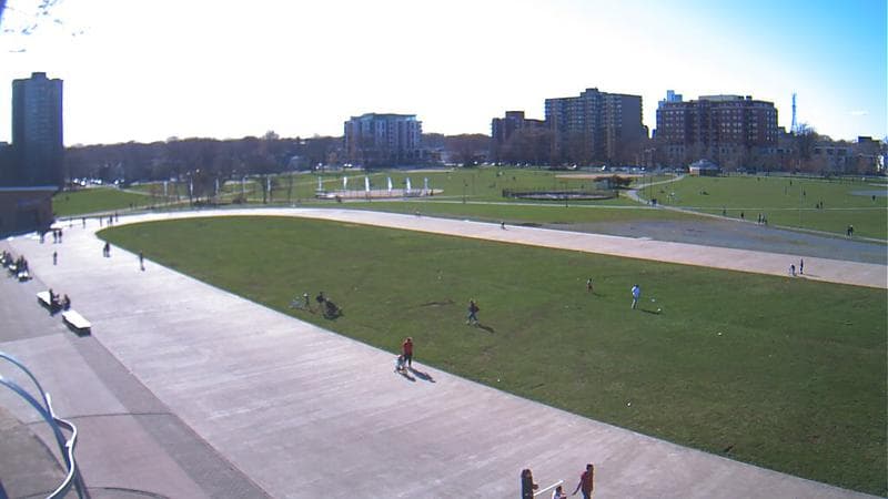 Emera Oval