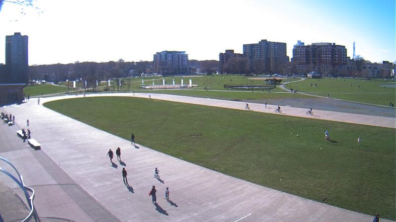 Emera Oval