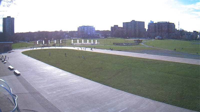 Emera Oval