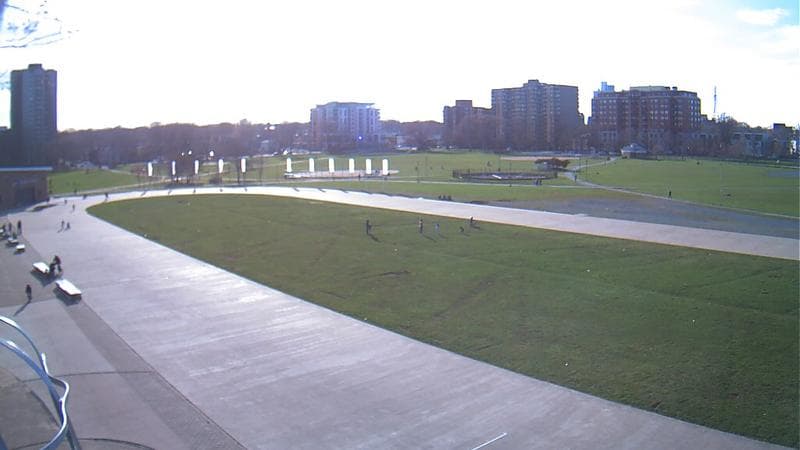 Emera Oval