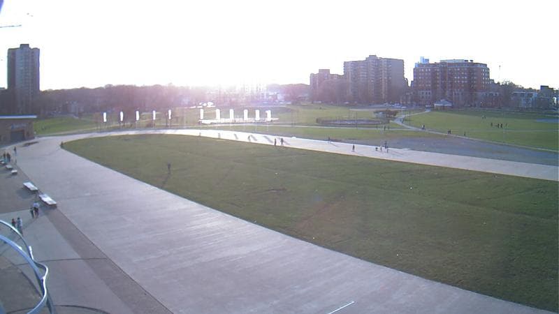 Emera Oval