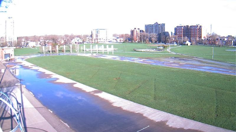 Emera Oval