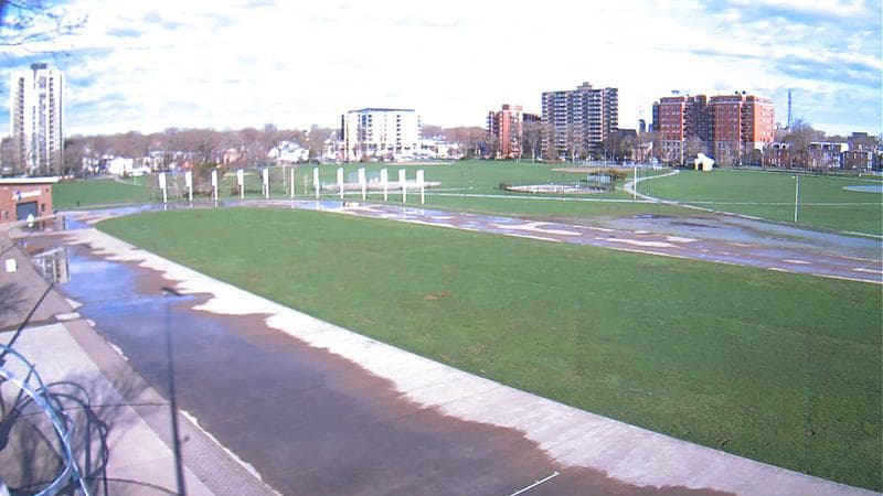 Emera Oval