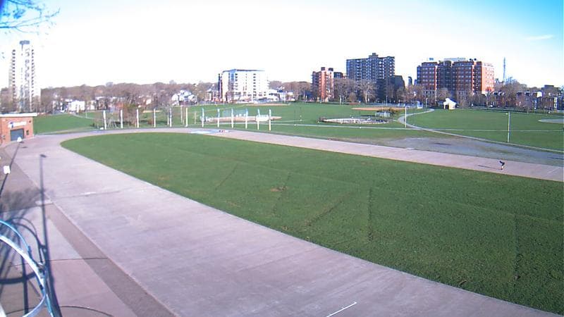 Emera Oval