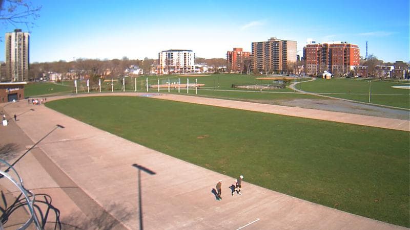 Emera Oval
