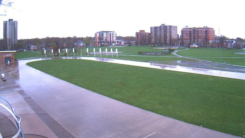 Emera Oval