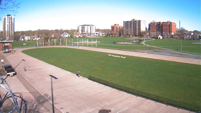 Emera Oval