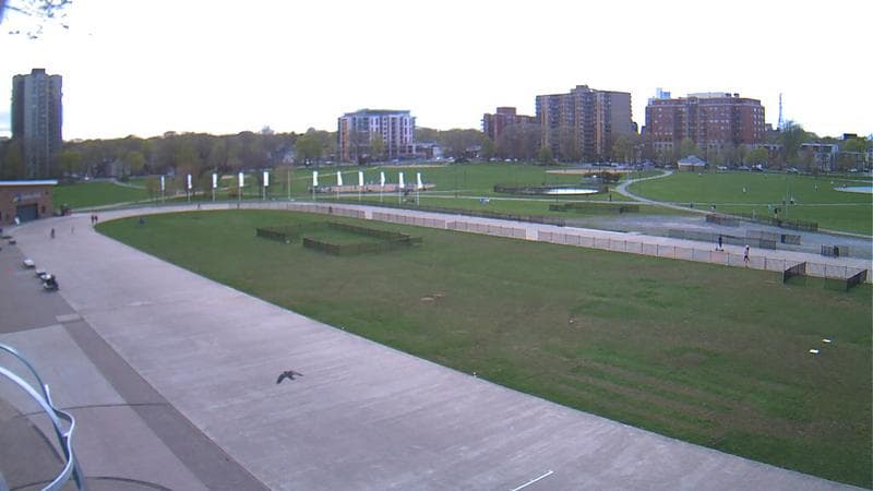 Emera Oval