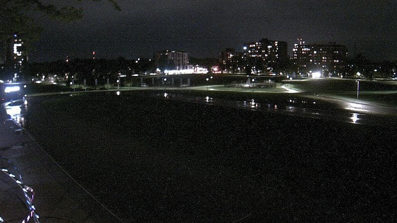 Emera Oval