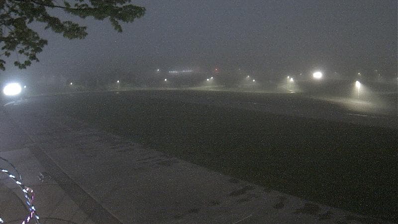Emera Oval