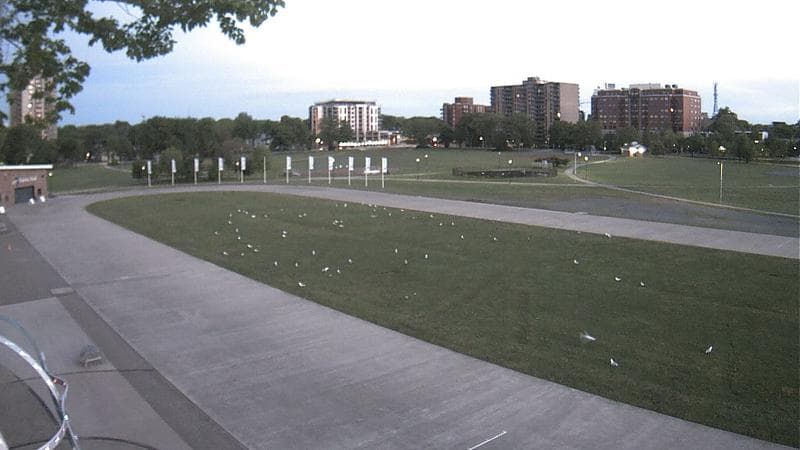 Emera Oval