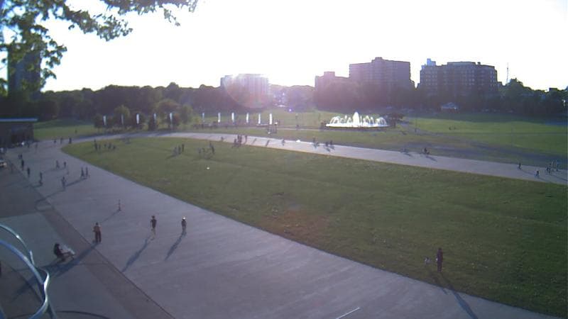 Emera Oval