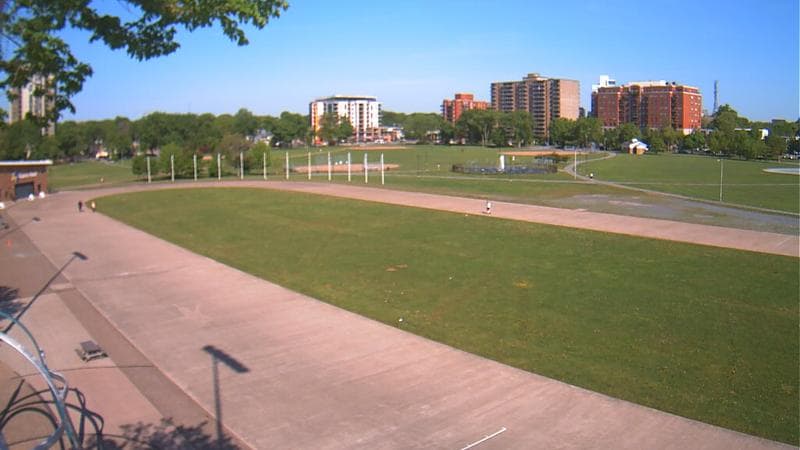 Emera Oval