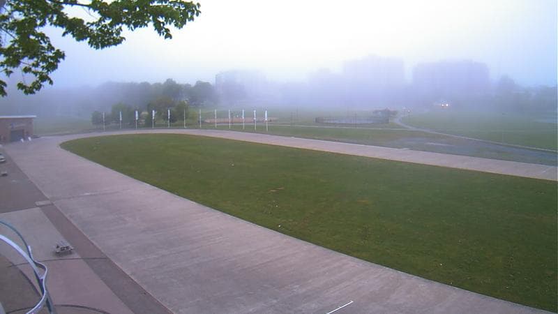Emera Oval