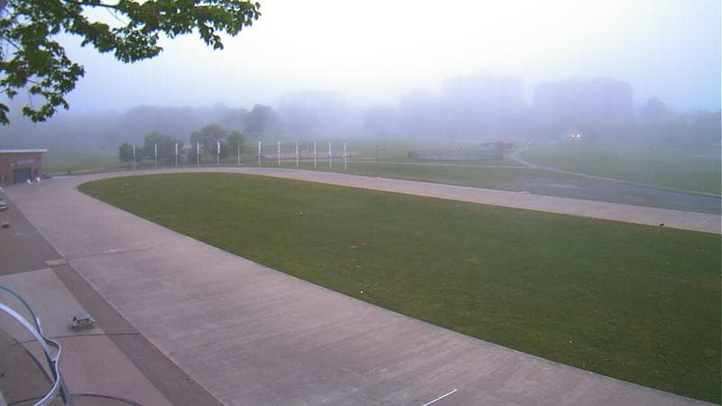 Emera Oval