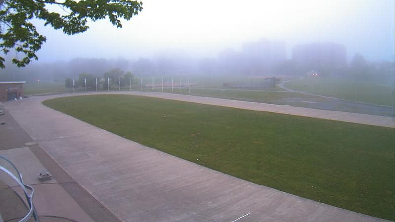 Emera Oval