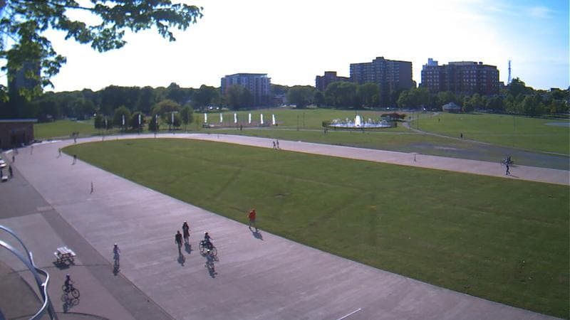 Emera Oval