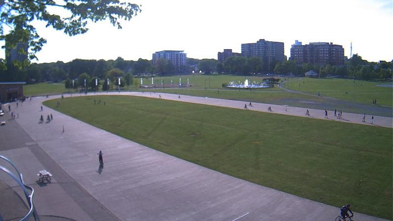 Emera Oval