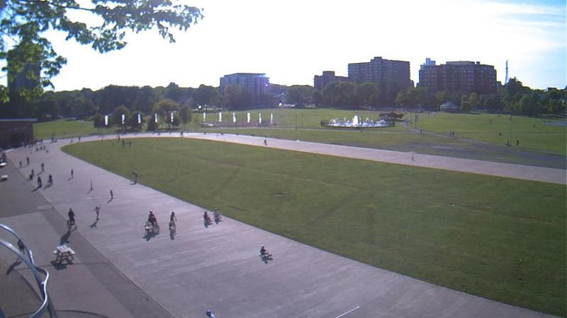 Emera Oval