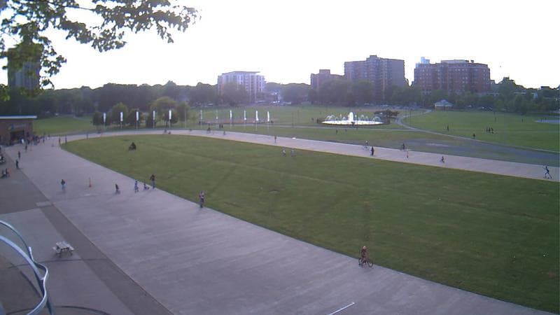 Emera Oval