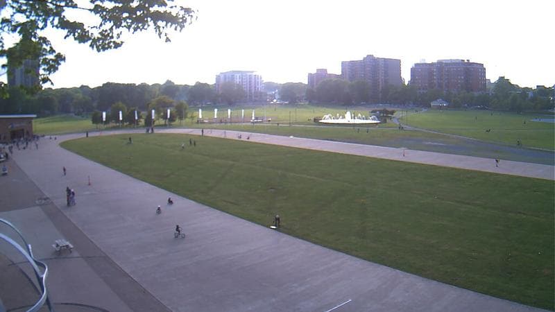 Emera Oval