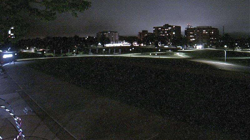 Emera Oval